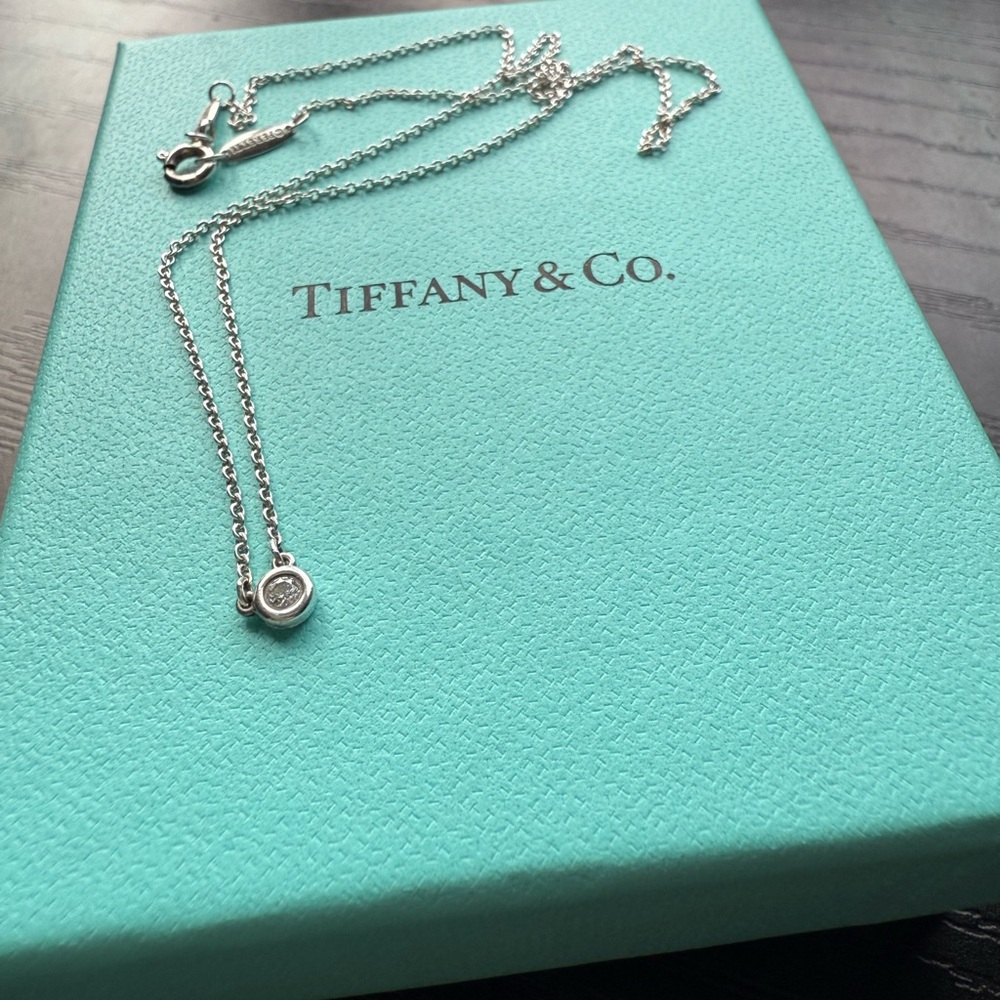 Tiffany & Co - Elsa Peretti Diamonds by the Yard Single Diamond Pendant